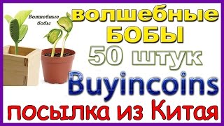 Волшебные бобы.  очень многооооооо! Посылка из Китая