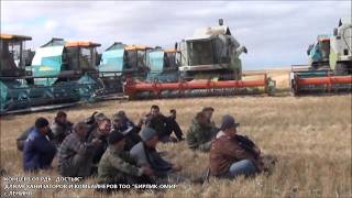 Полевой концерт для механизаторов и комбайнеров ТОО "Бирлик Омир" село Ленино Карасуский район
