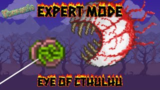 Terraria 1.3 | Eye of Cthulhu Expert Mode