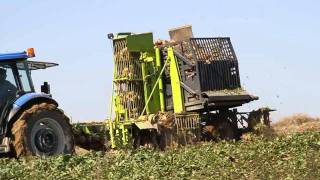 Barış Makina Özel Üretim "Green Peace" Pancar Sökme Makinesi Tanıtım Filmi