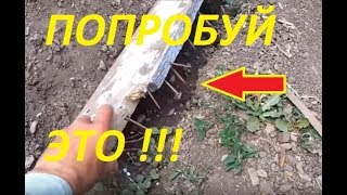 Мульча и мульчирование. Ч. 1.
