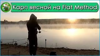 Ловля карпа весной на флэт метод - Часть 2
