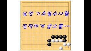 기초필수사활 귀에서 많이나오는 실전사활입니다