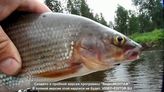 Аэролодка Северный Урал Рыбалка Хариус