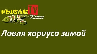 Отчет с рыбалки.  Ловля хариуса зимой.