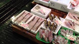 Shimonoseki FishMarket 1/2