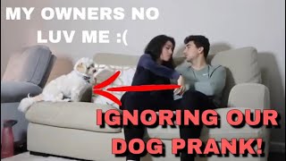 Pretending Not To See My Dog! He HATES Being Ignored!