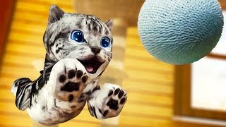Играем в СИМУЛЯТОР КОШКИ / Приключение котят в мульт игре для детей #ПУРУМЧАТА