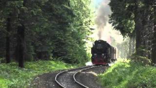 Mit Dampf durch den Harz  1  10-07-11