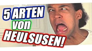 5 ARTEN VON HEULSUSEN !
