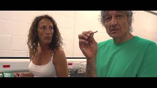 The Revolver Club visits The Rega Factory