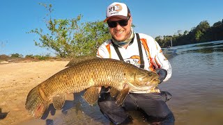 #200 - MEU MAIOR TRAÍRÃO DO RIO JURUENA - PARTE V - AMAZON BIG FISH