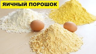 Производство Яичного порошка как бизнес идея