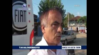 TAVAS/DERİNKUYU-DENİZLİ VE EGEDE TARIM PAMUKKALE TV DE