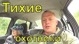 За грибами на разведку / Маслята / Тихая охота /Деревенская жизнь Зауральского подворья