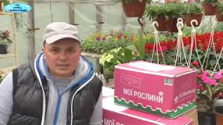 Большая посылка с интернет-магазина "Флориум". Распаковка.