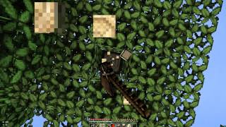 MineCraft 1.3.2: Выживание : 1 серия Первая Ночь