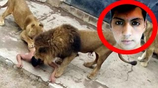 Nude Man Fed Himself To Lions Thinking He’s God’s Prophet