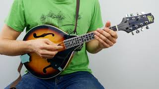 $50 vs $350 vs $4500 Mandolin