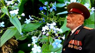 БЕРЕГА,  БЕРЕГА... А НА ТОМ БЕРЕГУ НЕЗАБУДКИ ЦВЕТУТ...Евгений Жуков