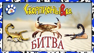 БИТВА СКОРПИОНЫ против КРАБОВ ДЕАГОСТИНИ ?