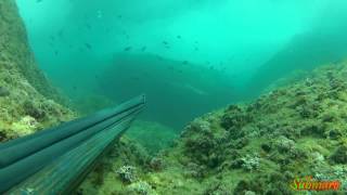 Pesca Sub: "Top 20" # 2014