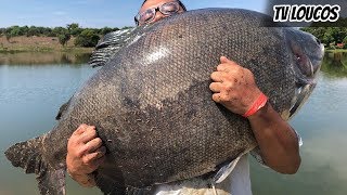 TV LOUCOS 105 - OS TRINTÕES DA FAZENDA PACU NO EVA E IMAGENS AÉREAS QUE VÃO TE DEIXAR LOUCO!