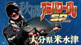 アミパワーグレスペシャル登場！秋の米水津、猪熊博之インストラクターがグレを釣りまくる！！！
