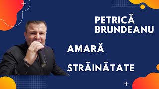 Petrica Banateanu - Amara strainatate