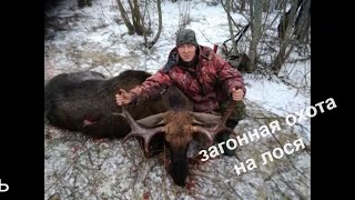 Охота на лося 2019. Охота в преддверии нового года 30.12.2019
