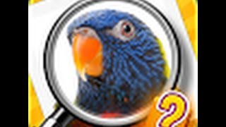 Zoom Quiz - Level's 76-100 Answers