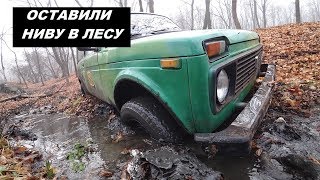 ЗАСАДИЛИ НИВЫ В ЛЕСУ \ ГОНКИ В ГОРУ \OFFroad в Саратове...