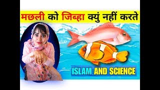 मछली को ज़िबह कैसे करें ? | Machli Ko Zibah Karne Ka Tarika | Machli Ko Zibah Kyun Nahi Karte - Islam