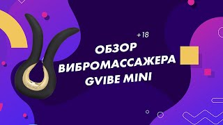 Обзор Gvibe mini от Gvibe