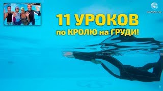 Кроль - 11 пошаговых видеоуроков