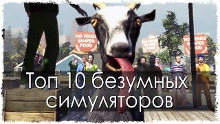 Топ 10 безумных симуляторов