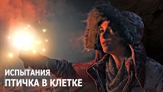 Rise of the Tomb Raider - Испытания - Геотермальная долина - Птичка в клетке