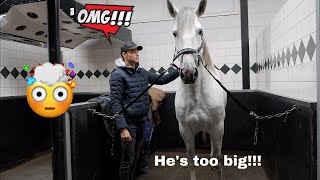 FIRST DAY WITH MY NEW HUGE STALLION (he's too big)