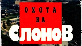 Криминальная Россия.Охота на слонов часть 1