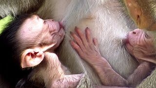 Watch Rossey breastfeeding?Rossey Close your eyes milk mom
