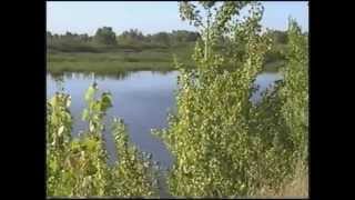 16 07 2013г Поездка на рыбалку река Зай