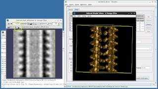 PEET Tutorial 4: Subunits Along a Filament