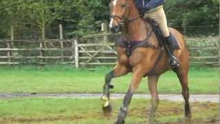 Safe cross country riding
