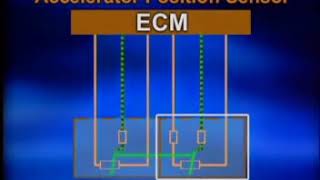 Принцип работы дизельного двигателя Common Rail