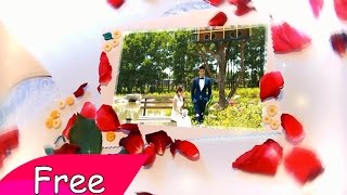 FREE Wedding Template PACK 02 | The Wedding Roses Footage