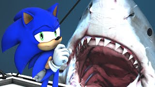 Sonic in JAWS