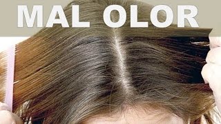 ☞ Remedios caseros para el mal olor en el cabello – Mal olor en el pelo soluciónalo con esto
