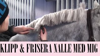 KLIPP & FRISERA NALLE MED MIG