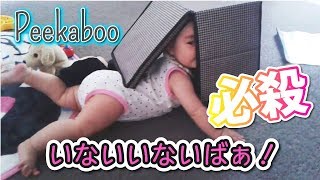 世界一可愛いいないいないばぁ 生後6か月 赤ちゃん / Super adorable Peekaboo