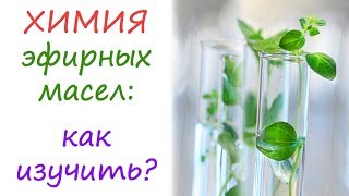 Химия эфирных масел: достоверная и увлекательная!
